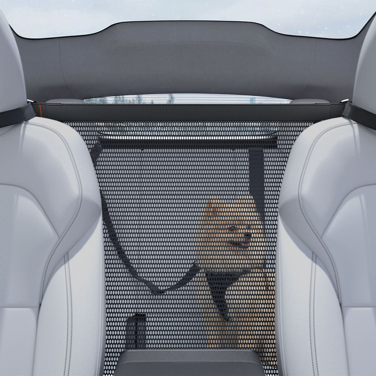 Pet Car Backseat Barrier | PS200